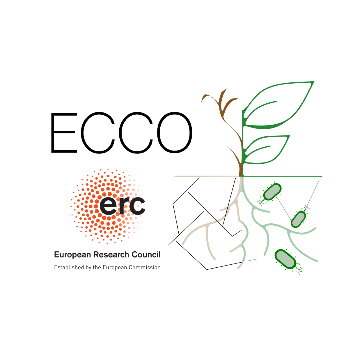 ECCO_project